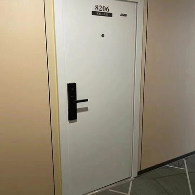 Buy Security Doors Contemporary Style With Durability Weather Resistant And Secure Design online manufacture